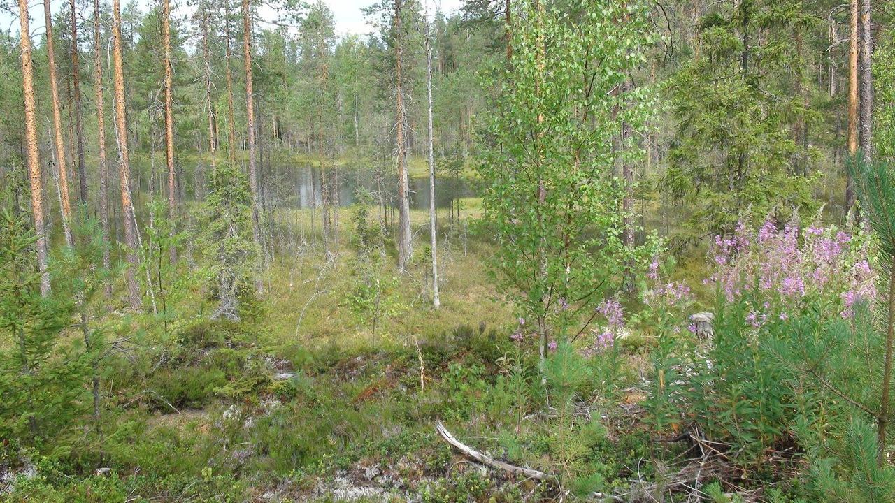 Kerimaa Golf Chalet Close To Savonlinna Kerimäki Exterior foto